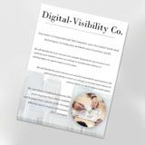 Business Flyers